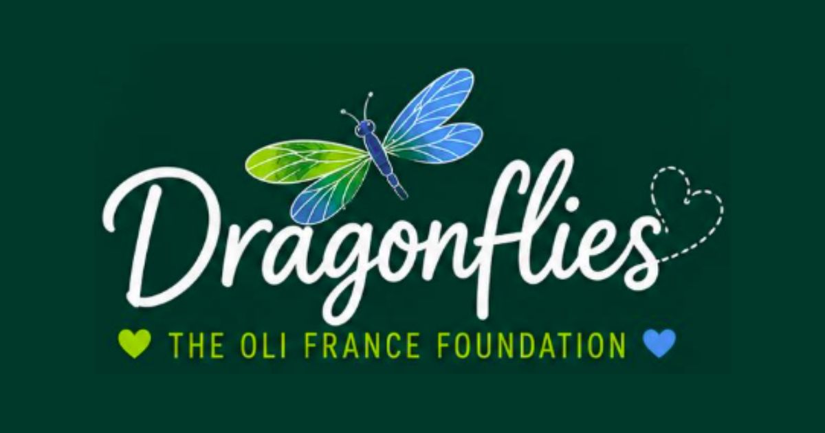The Oli France Foundation Dragonflies